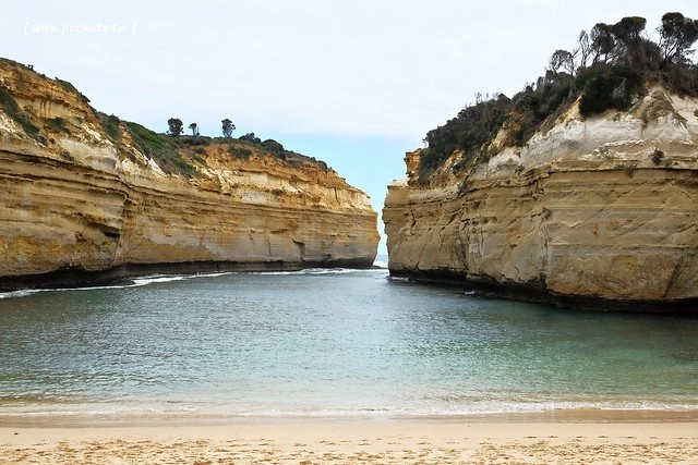 澳洲墨爾本｜大洋路一日遊，此生必去的景點之一澳洲大洋路、Kennett River野生無尾熊、阿波羅灣ILUKA午餐、Loch Ard Gorge六合谷、十二門徒岩、唐人街湄江牛河屋晚餐 @飛天璇的口袋