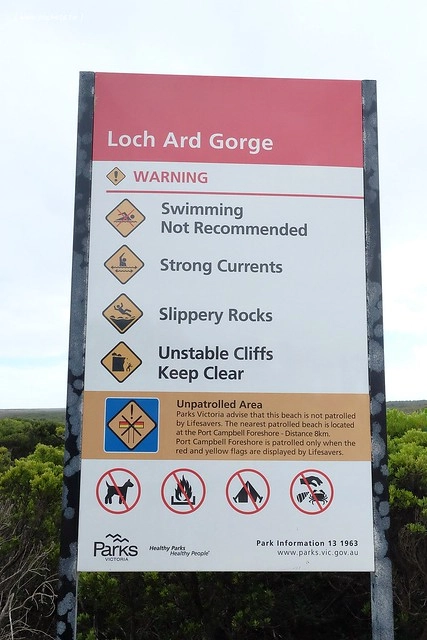 澳洲墨爾本｜大洋路一日遊，此生必去的景點之一澳洲大洋路、Kennett River野生無尾熊、阿波羅灣ILUKA午餐、Loch Ard Gorge六合谷、十二門徒岩、唐人街湄江牛河屋晚餐 @飛天璇的口袋