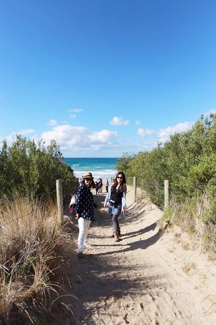 澳洲墨爾本｜大洋路一日遊，此生必去的景點之一澳洲大洋路、Kennett River野生無尾熊、阿波羅灣ILUKA午餐、Loch Ard Gorge六合谷、十二門徒岩、唐人街湄江牛河屋晚餐 @飛天璇的口袋