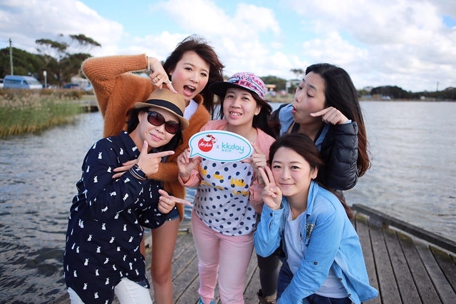 澳洲墨爾本｜大洋路一日遊，此生必去的景點之一澳洲大洋路、Kennett River野生無尾熊、阿波羅灣ILUKA午餐、Loch Ard Gorge六合谷、十二門徒岩、唐人街湄江牛河屋晚餐 @飛天璇的口袋