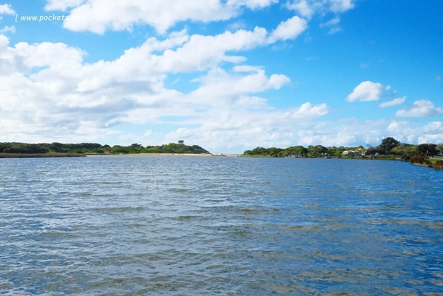 澳洲墨爾本｜大洋路一日遊，此生必去的景點之一澳洲大洋路、Kennett River野生無尾熊、阿波羅灣ILUKA午餐、Loch Ard Gorge六合谷、十二門徒岩、唐人街湄江牛河屋晚餐 @飛天璇的口袋