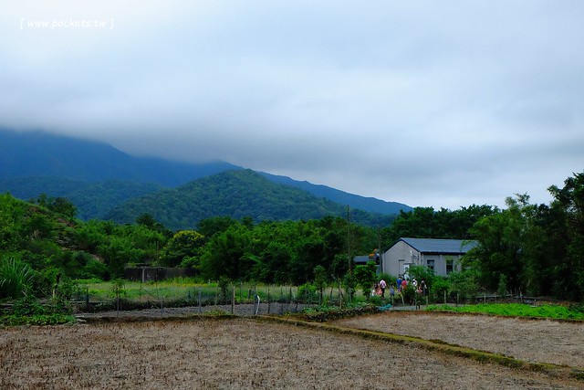 八煙聚落┃台北景點推薦：陽明山的秘密景點，如夢似幻的世外桃源，雲霧裊繞的湖上美景，自然資源非常豐富 @飛天璇的口袋