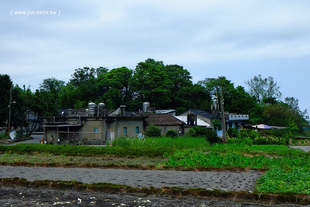 八煙聚落┃台北景點推薦：陽明山的秘密景點，如夢似幻的世外桃源，雲霧裊繞的湖上美景，自然資源非常豐富 @飛天璇的口袋