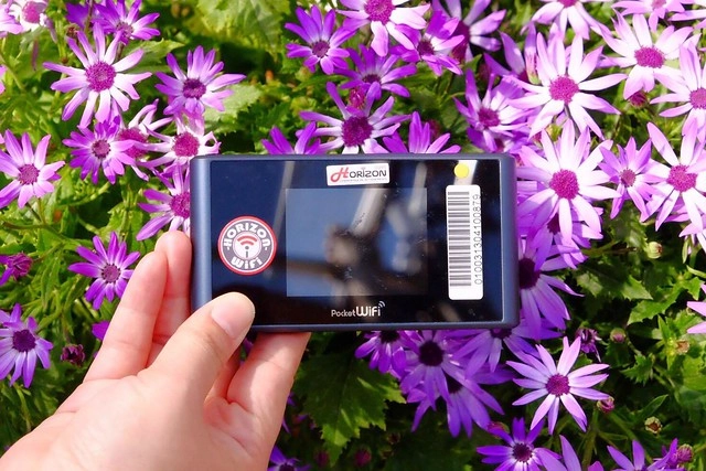 Expedia智遊網┃日本5天4夜自由行：五月台北&rarr;東京/高雄&rarr;大阪，搭乘酷航飛日本自由行，五天四夜不到一萬元，讓你輕鬆玩翻天~ @飛天璇的口袋