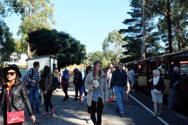 澳洲墨爾本｜墨爾本自由行，墨爾本7日遊行程規劃，美食、景點、住宿總整理 @飛天璇的口袋
