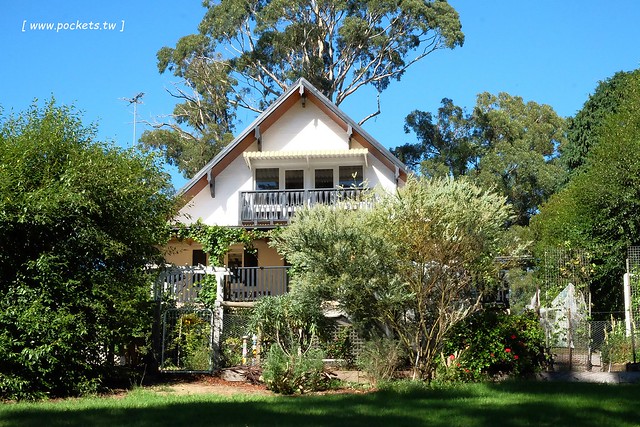澳洲墨爾本｜帕芬比利 Puffing Billy，搭乘澳洲最古老蒸汽火車，零距離接觸野生鸚鵡、飛派餐廳 Pie in the sky午餐、Sky High眺望台賞美景、LV旗下Chandon酒莊品嚐美酒 @飛天璇的口袋