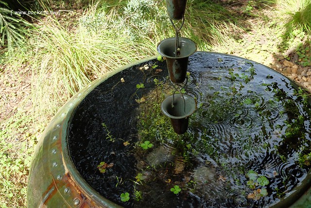 澳洲墨爾本｜Mornington Peninsula 摩寧頓半島一日遊，海邊彩虹小屋、摩寧頓半島戶外溫泉、Sorrento海濱小鎮午餐、Montalto酒莊品酒、古典歐洲風格迷宮花園 @飛天璇的口袋