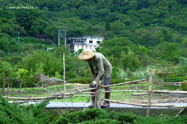 八煙聚落┃台北景點推薦：陽明山的秘密景點，如夢似幻的世外桃源，雲霧裊繞的湖上美景，自然資源非常豐富 @飛天璇的口袋