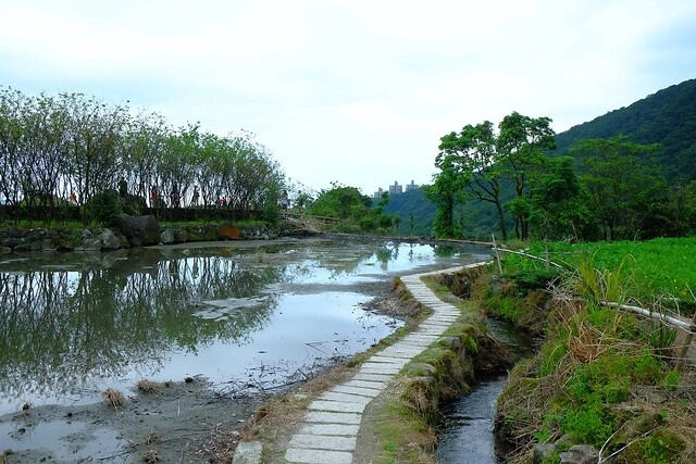 八煙聚落┃台北景點推薦：陽明山的秘密景點，如夢似幻的世外桃源，雲霧裊繞的湖上美景，自然資源非常豐富 @飛天璇的口袋