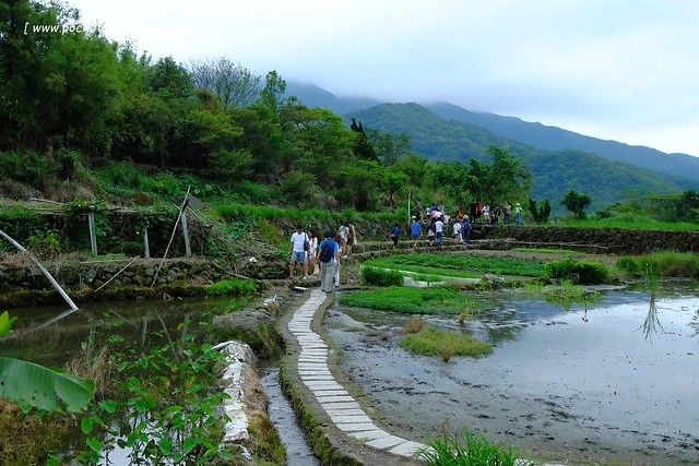 八煙聚落┃台北景點推薦：陽明山的秘密景點，如夢似幻的世外桃源，雲霧裊繞的湖上美景，自然資源非常豐富 @飛天璇的口袋