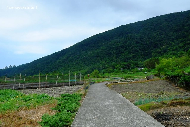 八煙聚落┃台北景點推薦：陽明山的秘密景點，如夢似幻的世外桃源，雲霧裊繞的湖上美景，自然資源非常豐富 @飛天璇的口袋