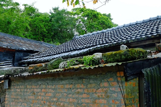 八煙聚落┃台北景點推薦：陽明山的秘密景點，如夢似幻的世外桃源，雲霧裊繞的湖上美景，自然資源非常豐富 @飛天璇的口袋