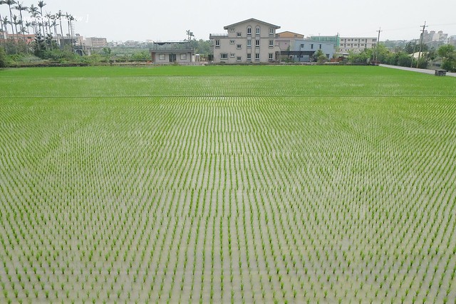 風車花園城堡┃宜蘭民宿推薦：溫馨浪漫以卡童話故事為主題的民宿，有可愛的龍貓房、老皮阿寶房，還有浪漫的藍洞房，凡爾賽房，適合情侶和親子入住(文末抽住宿券) @飛天璇的口袋