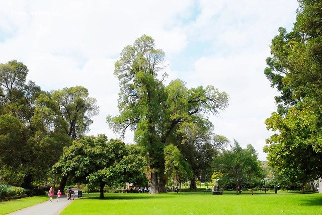 澳洲墨爾本｜墨爾本自由行，墨爾本7日遊行程規劃，美食、景點、住宿總整理 @飛天璇的口袋