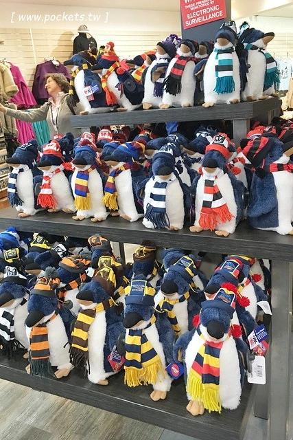 澳洲墨爾本｜菲利普島一日遊 Phillip Island，Maru野生動物園、Panny’s Chocolate巧克力觀光工廠、Cowes小鎮Isola di Capri晚餐、Phillip Island 企鵝島神仙小企鵝歸巢 @飛天璇的口袋