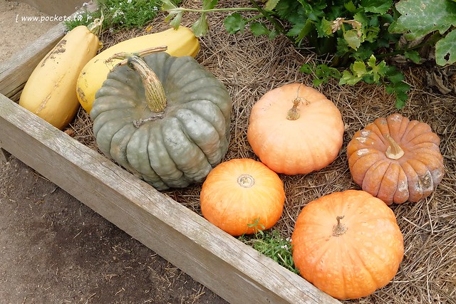 澳洲墨爾本｜Mornington Peninsula 摩寧頓半島一日遊，海邊彩虹小屋、摩寧頓半島戶外溫泉、Sorrento海濱小鎮午餐、Montalto酒莊品酒、古典歐洲風格迷宮花園 @飛天璇的口袋