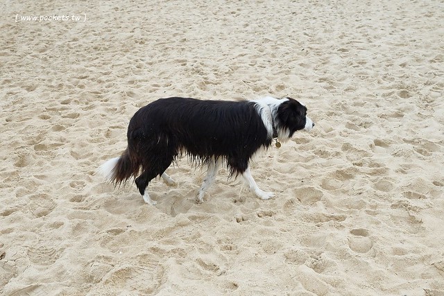 澳洲墨爾本｜Mornington Peninsula 摩寧頓半島一日遊，海邊彩虹小屋、摩寧頓半島戶外溫泉、Sorrento海濱小鎮午餐、Montalto酒莊品酒、古典歐洲風格迷宮花園 @飛天璇的口袋