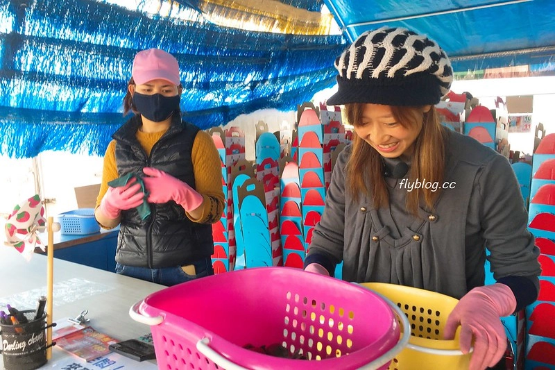 台中潭子｜草莓世界．採草莓不用到苗栗大湖，台中潭子就有草莓園，無毒有機草莓吃的安心 @飛天璇的口袋