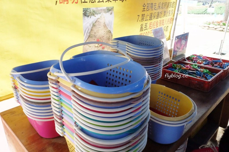 台中潭子｜草莓世界．採草莓不用到苗栗大湖，台中潭子就有草莓園，無毒有機草莓吃的安心 @飛天璇的口袋