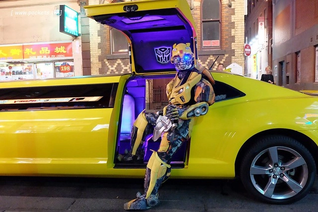 澳洲墨爾本｜大洋路一日遊，此生必去的景點之一澳洲大洋路、Kennett River野生無尾熊、阿波羅灣ILUKA午餐、Loch Ard Gorge六合谷、十二門徒岩、唐人街湄江牛河屋晚餐 @飛天璇的口袋