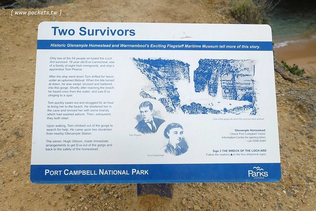 澳洲墨爾本｜大洋路一日遊，此生必去的景點之一澳洲大洋路、Kennett River野生無尾熊、阿波羅灣ILUKA午餐、Loch Ard Gorge六合谷、十二門徒岩、唐人街湄江牛河屋晚餐 @飛天璇的口袋