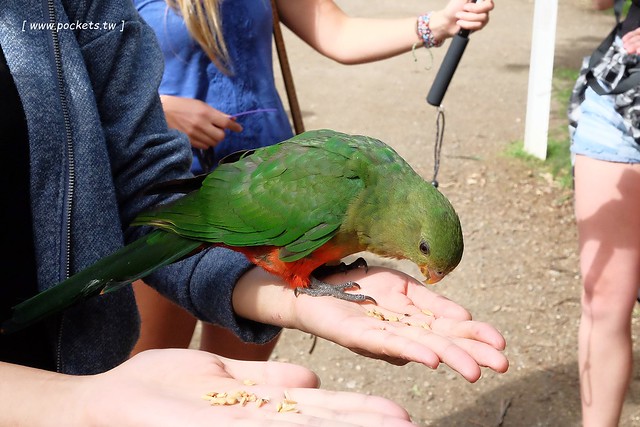 澳洲墨爾本｜墨爾本自由行，墨爾本7日遊行程規劃，美食、景點、住宿總整理 @飛天璇的口袋