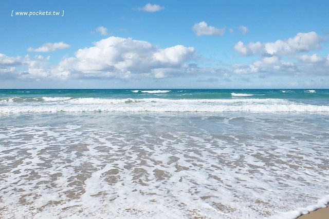澳洲墨爾本｜大洋路一日遊，此生必去的景點之一澳洲大洋路、Kennett River野生無尾熊、阿波羅灣ILUKA午餐、Loch Ard Gorge六合谷、十二門徒岩、唐人街湄江牛河屋晚餐 @飛天璇的口袋