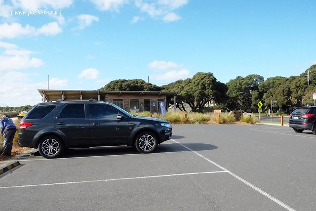 澳洲墨爾本｜大洋路一日遊，此生必去的景點之一澳洲大洋路、Kennett River野生無尾熊、阿波羅灣ILUKA午餐、Loch Ard Gorge六合谷、十二門徒岩、唐人街湄江牛河屋晚餐 @飛天璇的口袋