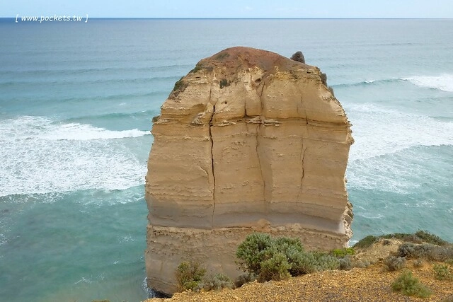 澳洲墨爾本｜大洋路一日遊，此生必去的景點之一澳洲大洋路、Kennett River野生無尾熊、阿波羅灣ILUKA午餐、Loch Ard Gorge六合谷、十二門徒岩、唐人街湄江牛河屋晚餐 @飛天璇的口袋