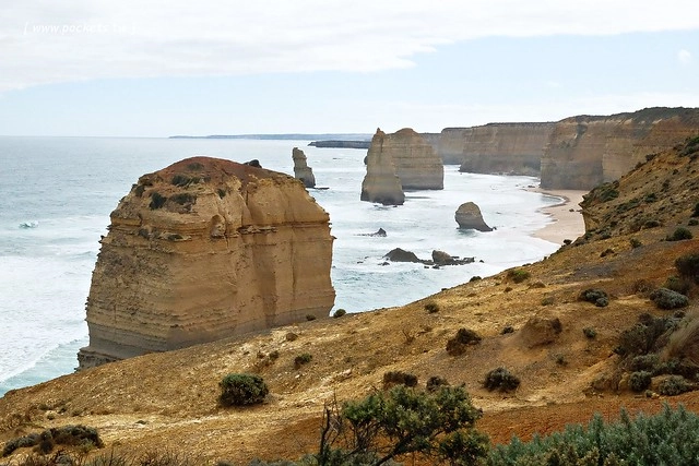 澳洲墨爾本｜大洋路一日遊，此生必去的景點之一澳洲大洋路、Kennett River野生無尾熊、阿波羅灣ILUKA午餐、Loch Ard Gorge六合谷、十二門徒岩、唐人街湄江牛河屋晚餐 @飛天璇的口袋