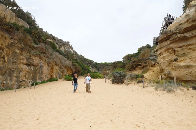 澳洲墨爾本｜大洋路一日遊，此生必去的景點之一澳洲大洋路、Kennett River野生無尾熊、阿波羅灣ILUKA午餐、Loch Ard Gorge六合谷、十二門徒岩、唐人街湄江牛河屋晚餐 @飛天璇的口袋