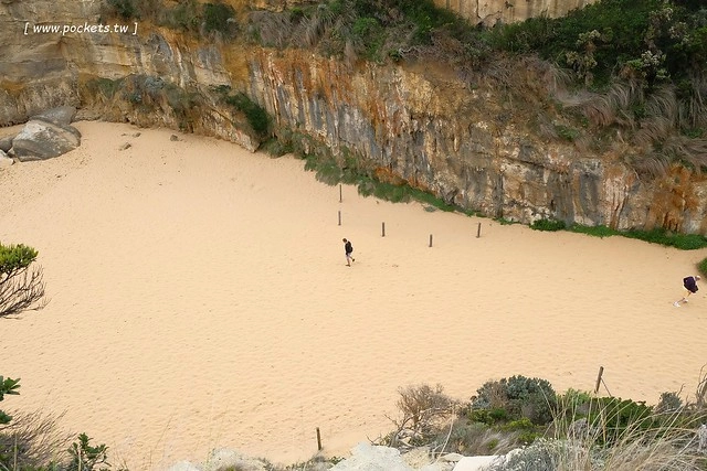 澳洲墨爾本｜大洋路一日遊，此生必去的景點之一澳洲大洋路、Kennett River野生無尾熊、阿波羅灣ILUKA午餐、Loch Ard Gorge六合谷、十二門徒岩、唐人街湄江牛河屋晚餐 @飛天璇的口袋