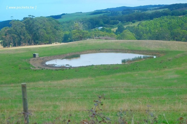 澳洲墨爾本｜大洋路一日遊，此生必去的景點之一澳洲大洋路、Kennett River野生無尾熊、阿波羅灣ILUKA午餐、Loch Ard Gorge六合谷、十二門徒岩、唐人街湄江牛河屋晚餐 @飛天璇的口袋