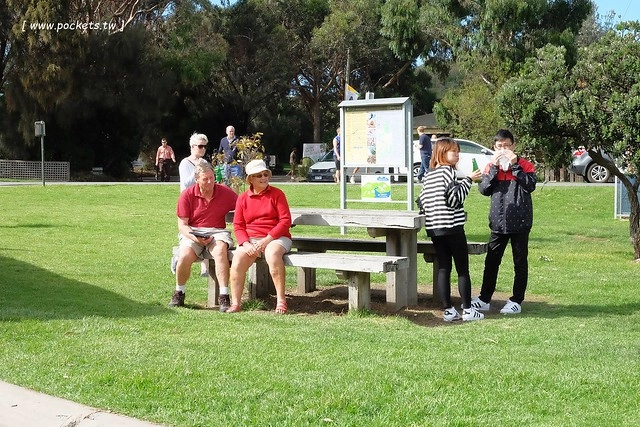 澳洲墨爾本｜大洋路一日遊，此生必去的景點之一澳洲大洋路、Kennett River野生無尾熊、阿波羅灣ILUKA午餐、Loch Ard Gorge六合谷、十二門徒岩、唐人街湄江牛河屋晚餐 @飛天璇的口袋