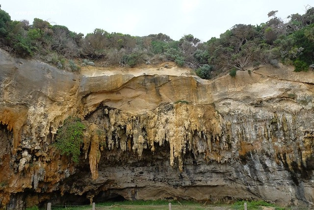 澳洲墨爾本｜大洋路一日遊，此生必去的景點之一澳洲大洋路、Kennett River野生無尾熊、阿波羅灣ILUKA午餐、Loch Ard Gorge六合谷、十二門徒岩、唐人街湄江牛河屋晚餐 @飛天璇的口袋