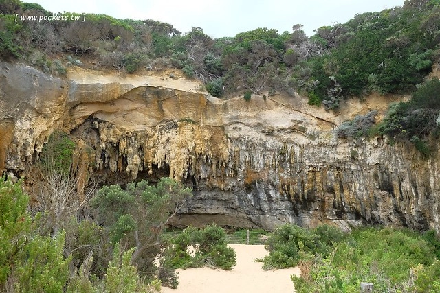 澳洲墨爾本｜大洋路一日遊，此生必去的景點之一澳洲大洋路、Kennett River野生無尾熊、阿波羅灣ILUKA午餐、Loch Ard Gorge六合谷、十二門徒岩、唐人街湄江牛河屋晚餐 @飛天璇的口袋