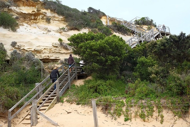 澳洲墨爾本｜大洋路一日遊，此生必去的景點之一澳洲大洋路、Kennett River野生無尾熊、阿波羅灣ILUKA午餐、Loch Ard Gorge六合谷、十二門徒岩、唐人街湄江牛河屋晚餐 @飛天璇的口袋