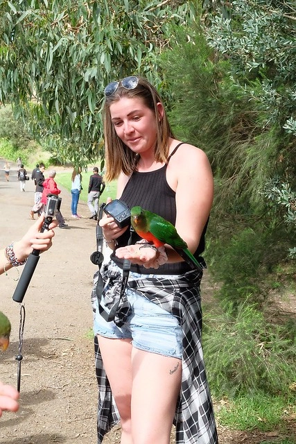 澳洲墨爾本｜大洋路一日遊，此生必去的景點之一澳洲大洋路、Kennett River野生無尾熊、阿波羅灣ILUKA午餐、Loch Ard Gorge六合谷、十二門徒岩、唐人街湄江牛河屋晚餐 @飛天璇的口袋