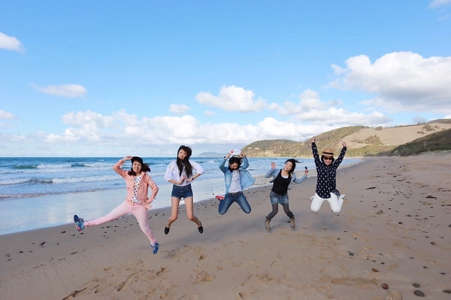 澳洲墨爾本｜大洋路一日遊，此生必去的景點之一澳洲大洋路、Kennett River野生無尾熊、阿波羅灣ILUKA午餐、Loch Ard Gorge六合谷、十二門徒岩、唐人街湄江牛河屋晚餐 @飛天璇的口袋