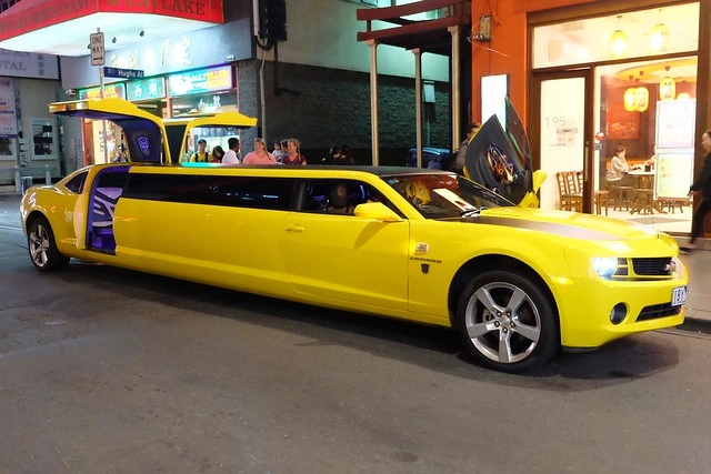 澳洲墨爾本｜大洋路一日遊，此生必去的景點之一澳洲大洋路、Kennett River野生無尾熊、阿波羅灣ILUKA午餐、Loch Ard Gorge六合谷、十二門徒岩、唐人街湄江牛河屋晚餐 @飛天璇的口袋