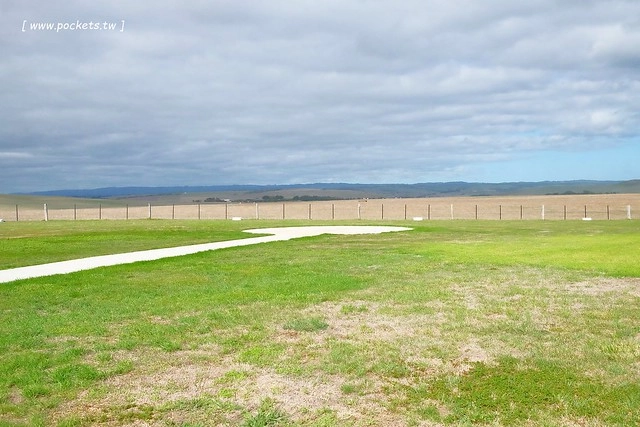 澳洲墨爾本｜大洋路一日遊，此生必去的景點之一澳洲大洋路、Kennett River野生無尾熊、阿波羅灣ILUKA午餐、Loch Ard Gorge六合谷、十二門徒岩、唐人街湄江牛河屋晚餐 @飛天璇的口袋