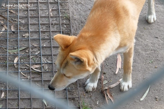 澳洲墨爾本｜墨爾本自由行，墨爾本7日遊行程規劃，美食、景點、住宿總整理 @飛天璇的口袋