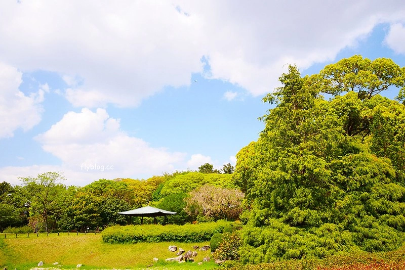 日本愛知｜名古屋城．日本三大名城之一，交通方式以及門票售價 @飛天璇的口袋