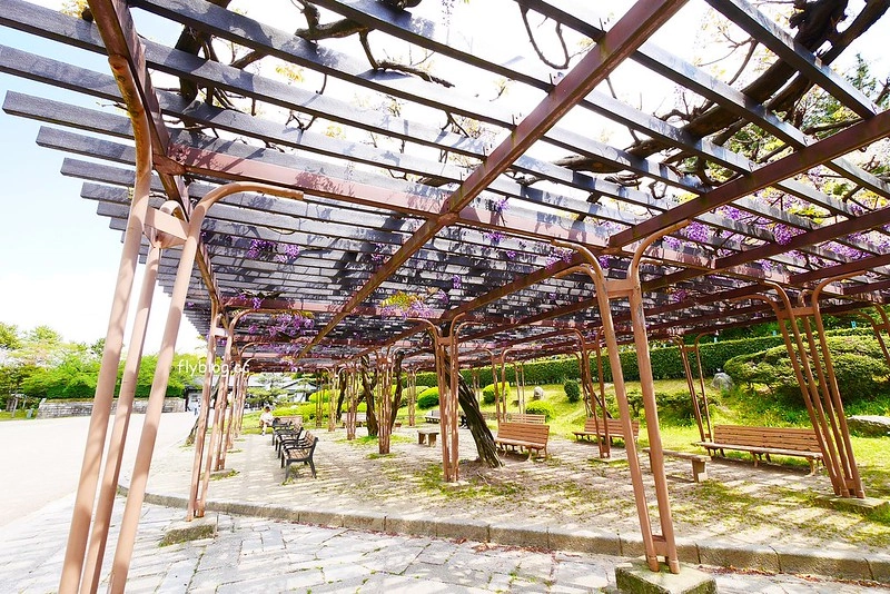 日本愛知｜名古屋城．日本三大名城之一，交通方式以及門票售價 @飛天璇的口袋