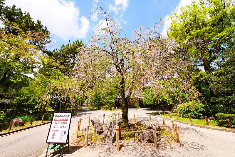 日本愛知｜名古屋城．日本三大名城之一，交通方式以及門票售價 @飛天璇的口袋