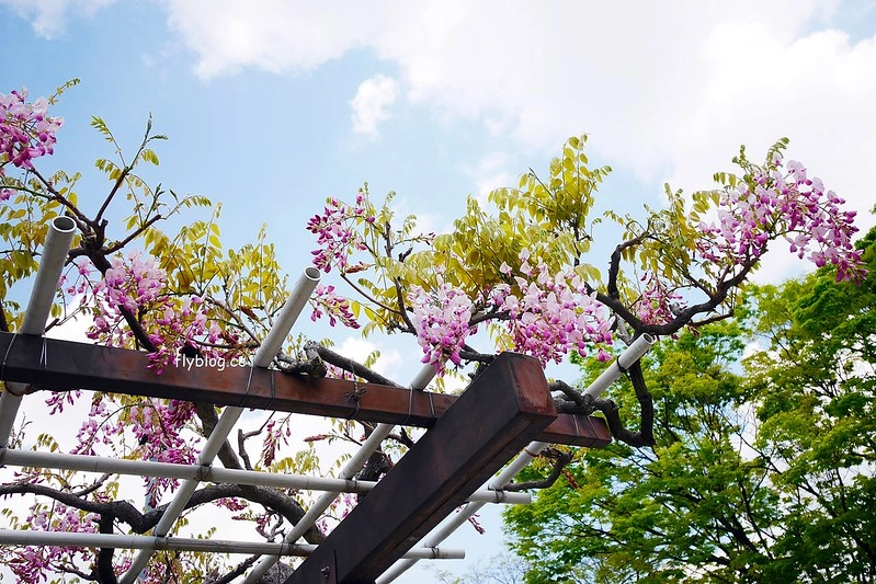 日本愛知｜名古屋城．日本三大名城之一，交通方式以及門票售價 @飛天璇的口袋