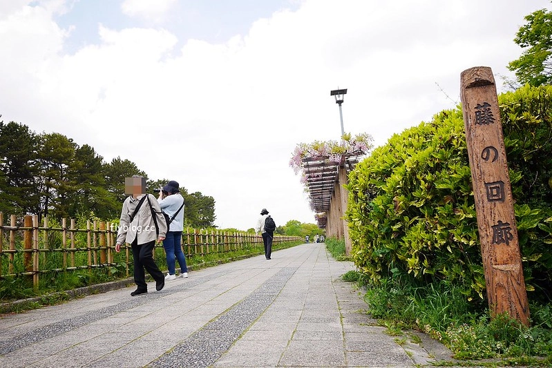 日本愛知｜名古屋城．日本三大名城之一，交通方式以及門票售價 @飛天璇的口袋