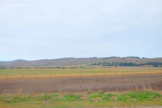 澳洲墨爾本｜菲利普島一日遊 Phillip Island，Maru野生動物園、Panny’s Chocolate巧克力觀光工廠、Cowes小鎮Isola di Capri晚餐、Phillip Island 企鵝島神仙小企鵝歸巢 @飛天璇的口袋