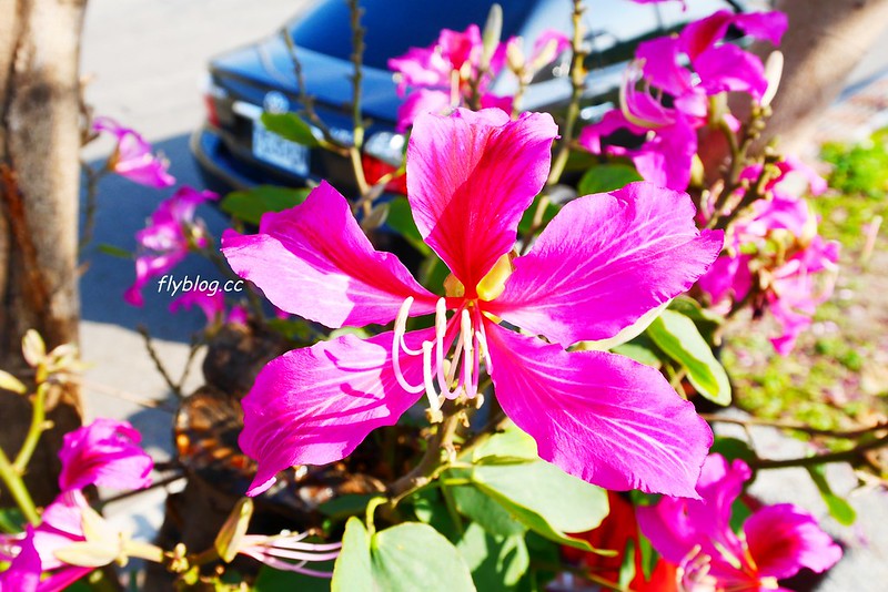 筏子溪迎賓水岸廊道┃台中南屯：台中美麗新地標，4公尺高的TAICHUN字體，台中IG超夯打卡新景點 @飛天璇的口袋