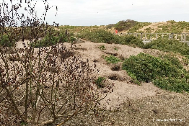 澳洲墨爾本｜墨爾本自由行，墨爾本7日遊行程規劃，美食、景點、住宿總整理 @飛天璇的口袋